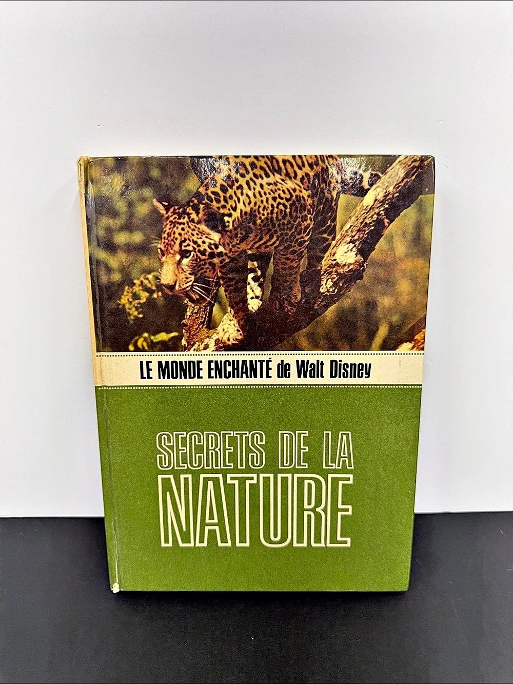 Walt Disney Le Monde Enchanté de Walt Disney: Secrets de la Nature Book